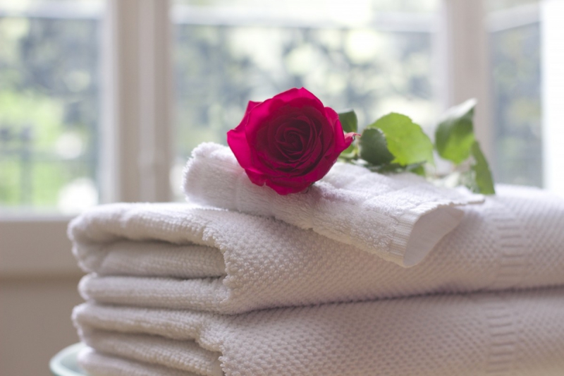 chambre-hote-PIGNANS-min_towel_rose_clean_care_salon_spa_white_bath-731641